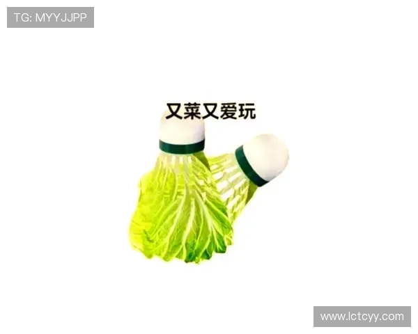 羽毛球新手必看：从零开始的比赛经验与技巧全面指南