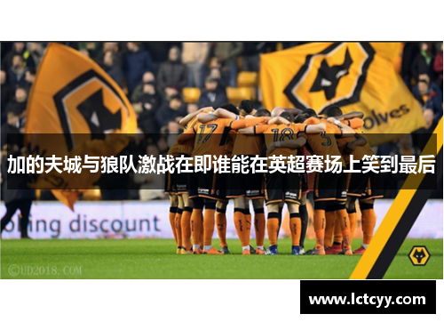 加的夫城与狼队激战在即谁能在英超赛场上笑到最后